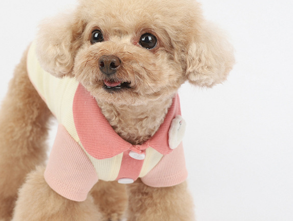 Spring And Summer New Color Thin Cotton Cardigan Pet